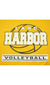 Vintage Harbor Yellow Sport Graphic TShirt detail 2