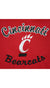 Vintage NCAA Cincinnati Bearcats Red Sport Hoodie detail 1